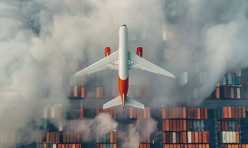 Heathrow Customs Clearance Made Simple And Stress-free ( Transplanter