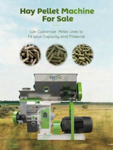 For Sale: Hay & Feed Pellet Mill ( Hay And Forage Equipment )